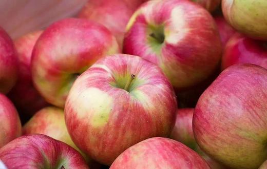 美国honeycrisp 蜜脆苹果 99箱/6斤