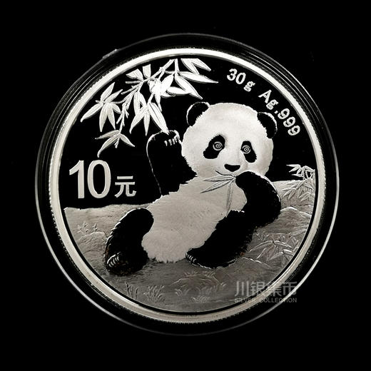 2020年熊猫30克银币 商品图0