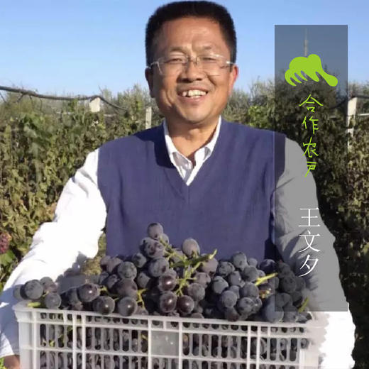 生态红小提葡萄干 | 合作生产* Eco-raisin |Coproduction 商品图3