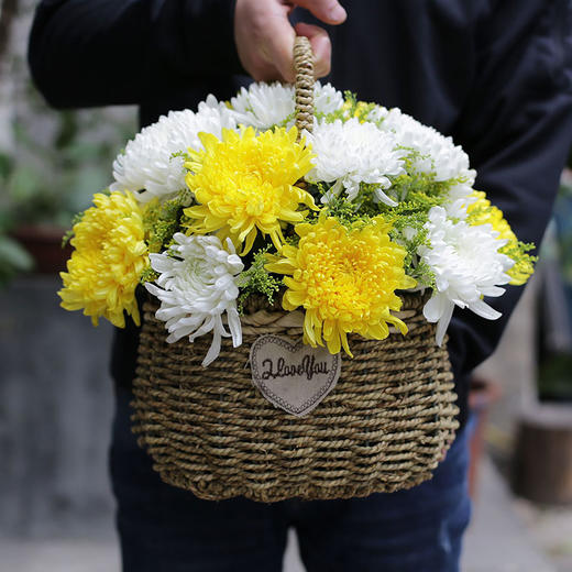 菊花手提花篮花盒-扫墓祭奠追悼念鲜花速递同城清明节重阳节祭祖 商品图3