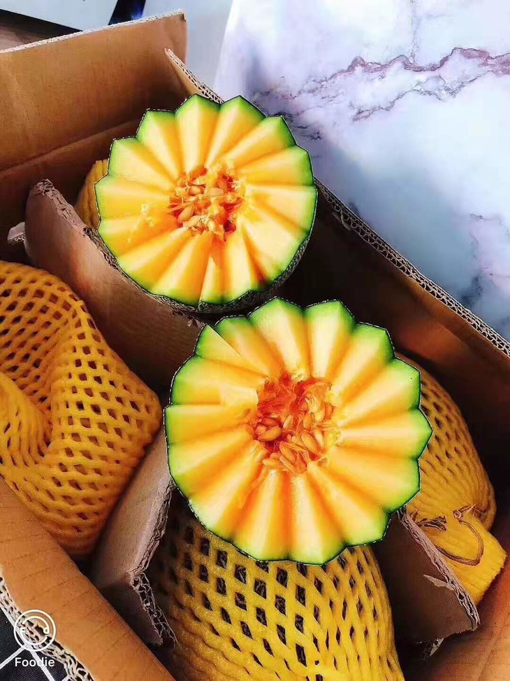 市内同城57元购蜜瓜来袭一件14斤左右45个瓜瓜小蜜甜瓜爽脆甜蜜于一体