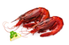 【西班牙进口】绯红虾 4-6头 500g/盒 冷冻新货 商品缩略图5