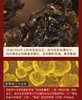 双十一白沙溪大师臻藏•感恩茯茶礼盒精装 买二送一 1000克七年陈料压制匠心造 商品缩略图5