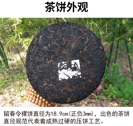 茶马世家 留春令 普洱茶熟茶 云南普洱茶叶357g 商品图2