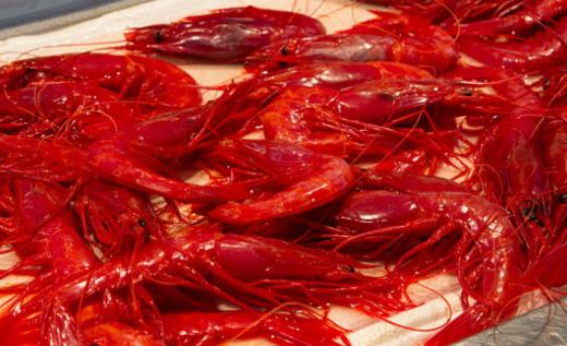 【西班牙进口】绯红虾 4-6头 500g/盒 冷冻新货 商品图4
