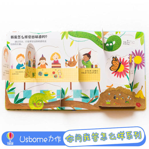 你问我答科普翻翻书·怎么样·我是怎么样看到的？ 商品图2