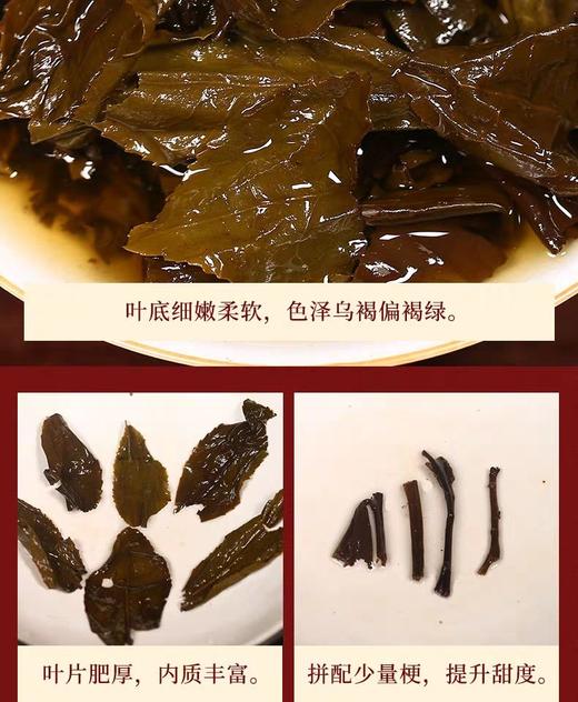 双十一白沙溪大师臻藏•感恩茯茶礼盒精装 买二送一 1000克七年陈料压制匠心造 商品图6