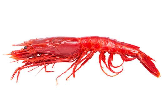 【西班牙进口】绯红虾 4-6头 500g/盒 冷冻新货 商品图2