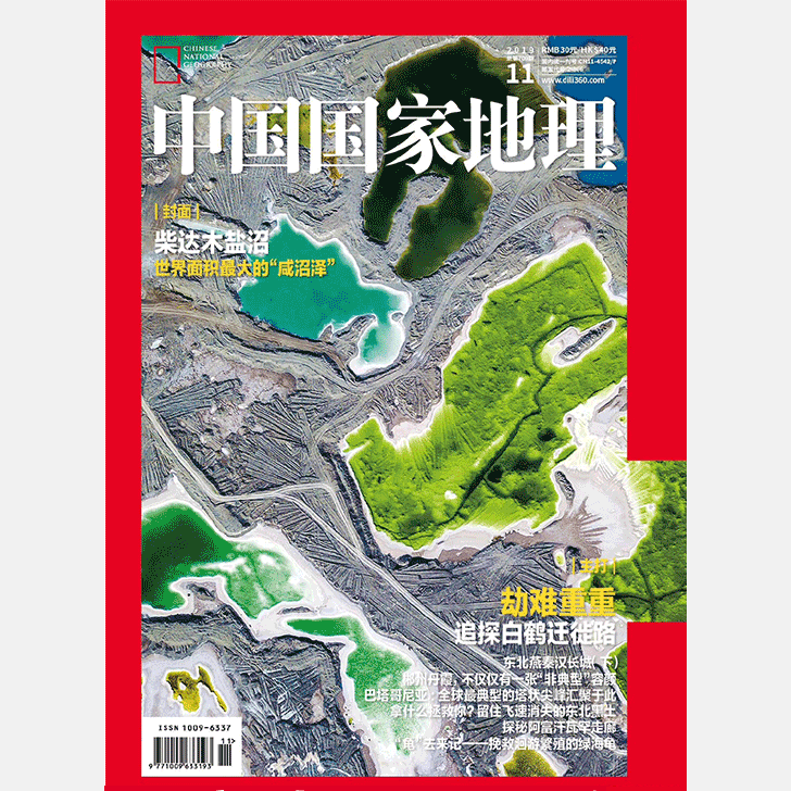 《中国国家地理》201911 柴达木盐沼