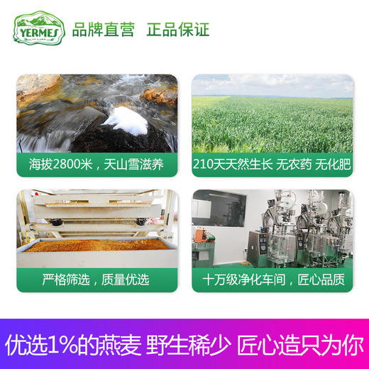 YERMES家庭装燕麦百合粥包早餐野生燕麦片兰州百合粥包 500g 商品图3