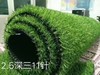 绿植草皮 青草 商品缩略图3