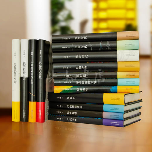 【纪念版】王小波全集（15册） 商品图2