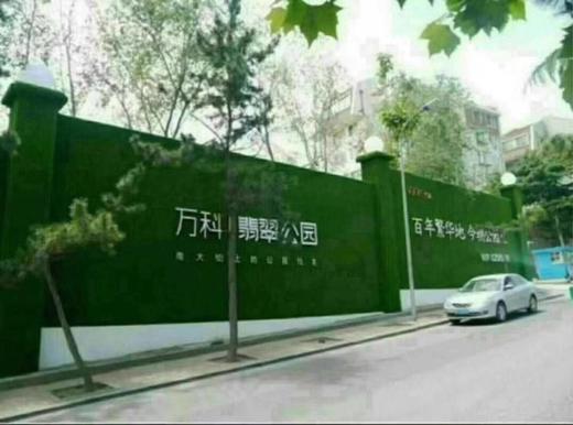 绿植草皮 青草 商品图6