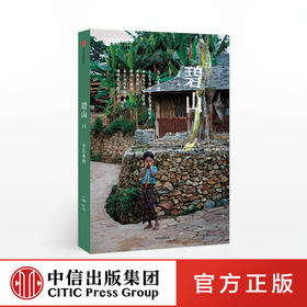 碧山11 左靖 著 有学术高度的艺术贴近商业和生活 方志小说 人类田野 社会调研 文学叙述 虚构想象 中信出版社图书 正版书籍