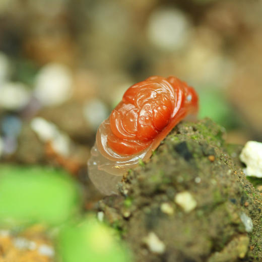 南红荔枝冻戒指 商品图2