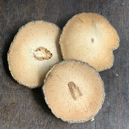 陆川橘红   |  “ 南方人参 ”,卫生部首批入选的珍稀药食同源地标产品,味甘而醇口、属天然饮品，男女老少皆宜。是朋友相聚、酒后、饭余的最佳饮品，让您在喝茶休闲中就得到健康！ 商品图3