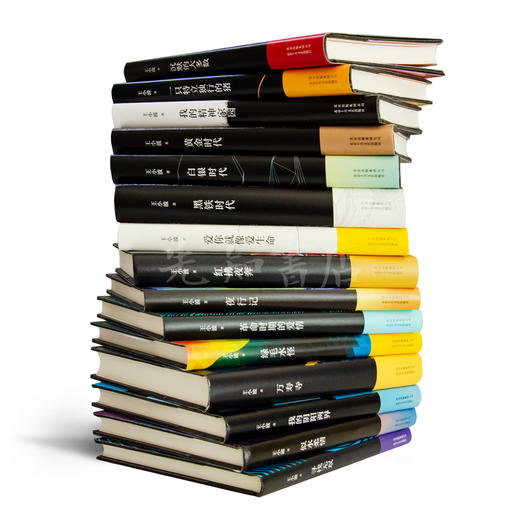 【纪念版】王小波全集（15册） 商品图4