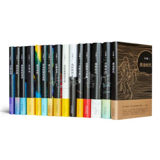 【纪念版】王小波全集（15册） 商品图8