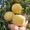 山东黄金奶油富士苹果烟‎台苹果珍‎稀品‎种当季新鲜水果4.5-5斤装包邮 商品缩略图2