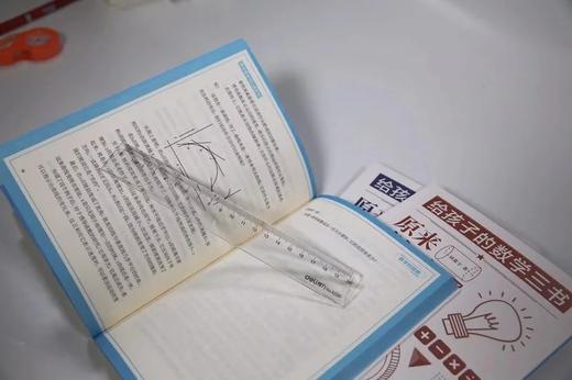 刘薰宇 给孩子的数学三书 中小学生数学宝典 清晰数学逻辑抽象趣味的数学 商品图2