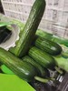 【山东青小脆黄瓜】咔嚓一口，又脆又甜，鲜嫩无比 商品缩略图1