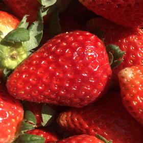 空运丹东草莓🍓新鲜采摘炒鸡好吃，甜甜的香香的，草莓味道很棒。