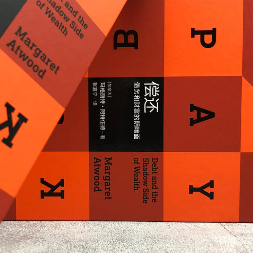 偿还：债务和财富的阴暗面//现代人小丛书 商品图2