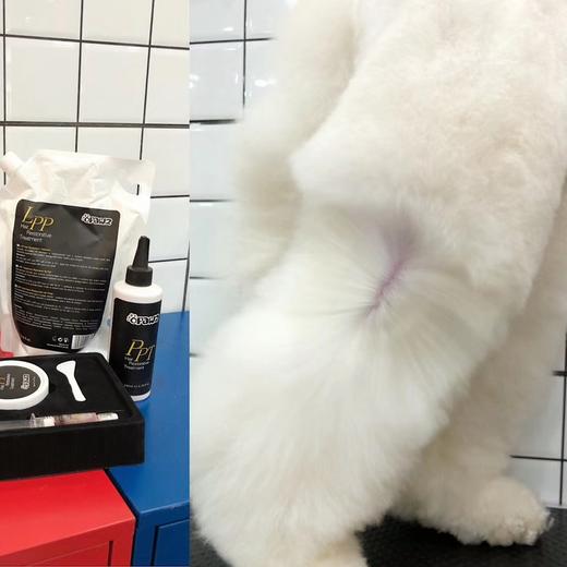 宠物养护T2-PPT植物蛋白精华液 OPAWZ小爪印 商品图2