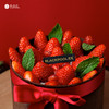 （宝安缺货，不可购）【一桶草莓】铺满草莓，鲜嫩草莓一口爆汁，开心果·草莓慕斯 商品缩略图2