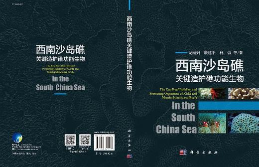 西南沙岛礁关键造护礁功能生物 商品图3