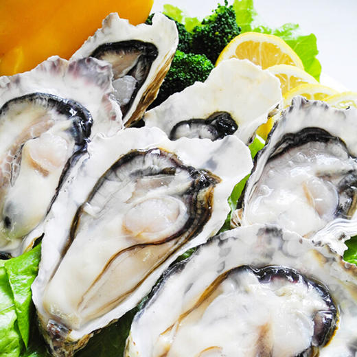 【顺丰包邮】野生乳山生蚝  海洋里的牛奶  5斤包邮 新鲜直发 海蛎子 牡蛎 商品图1