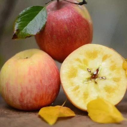 新疆阿克苏冰糖心苹果中果大果新鲜水果脆甜多汁8-9斤装 商品图2
