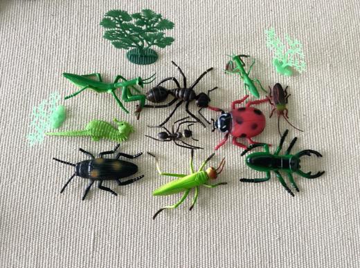 动物套餐共54个模型 商品图2