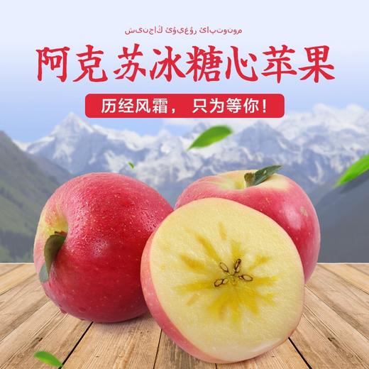 新疆阿克苏冰糖心苹果中果大果新鲜水果脆甜多汁8-9斤装 商品图0