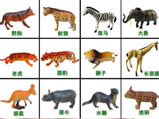 动物套餐共54个模型 商品图5