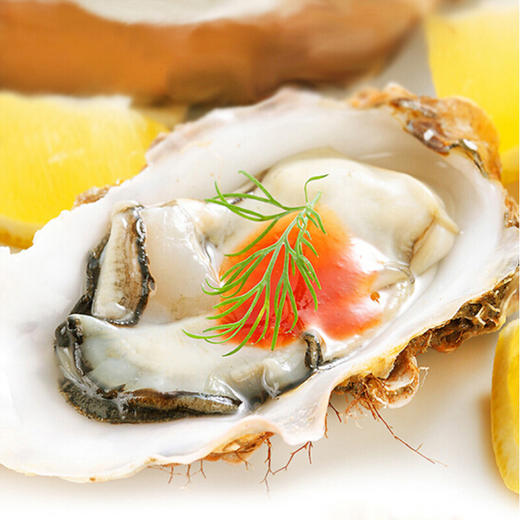 【顺丰包邮】野生乳山生蚝  海洋里的牛奶  5斤包邮 新鲜直发 海蛎子 牡蛎 商品图2