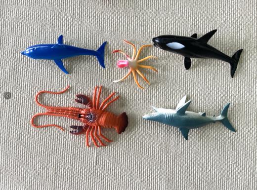 动物套餐共54个模型 商品图4