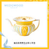 【WEDGWOOD 漫游美境】威基伍德漫游美境黄色丝带骨瓷600ml小茶壶咖啡壶欧式礼盒 商品缩略图2