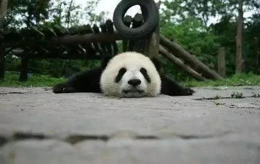 测试一个评价 商品图0