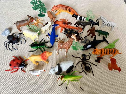 动物套餐共54个模型 商品图0