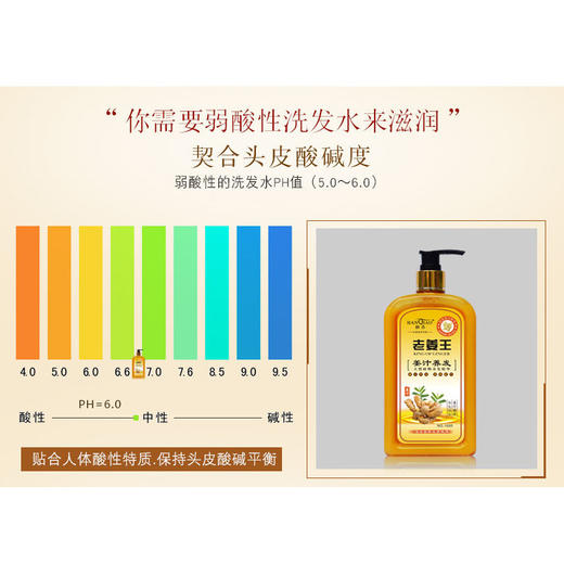 老姜王生姜防脱洗发水去屑止痒洗头膏控油洗发乳洗发露800ml 商品图5