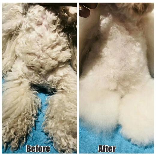 宠物养护T2-PPT植物蛋白精华液 OPAWZ小爪印 商品图1