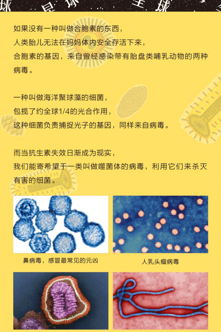 病毒星球-长图-切_02.png