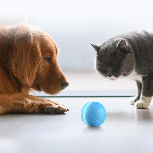 疯狂跳跳球 | 全自动智能逗宠球，猫狗通用 商品图0