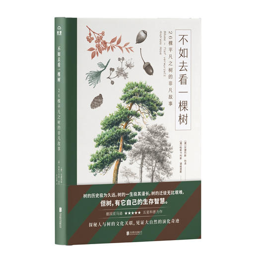 不如去看一棵树：26棵平凡之树的非凡故事 商品图0
