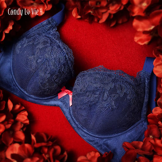 奶糖派大罩杯薄款蕾丝秋冬上托包容侧收邂逅2午夜蓝大胸少女内衣圆盘半球木瓜 商品图1
