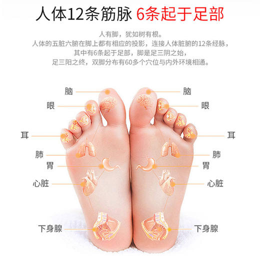 足疗机腿部按摩器小腿脚底疏通机步足部全自动 穴位按摩仪家用 商品图1