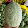 海南哈密‎瓜新鲜当季水果脆甜网纹蜜瓜原产地直发5-6斤、9-10斤装 商品缩略图6