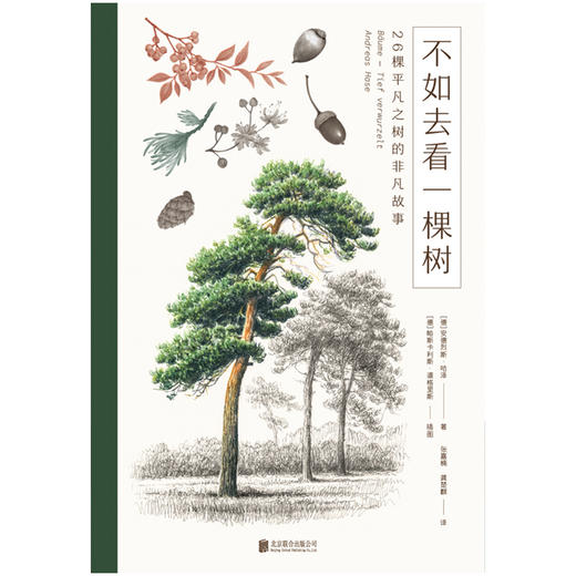 不如去看一棵树：26棵平凡之树的非凡故事 商品图1
