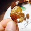 【澳洲进口风干葡萄干】2盒/份*200g 澳洲带枝葡萄干 串串风干进口无籽提子干带杆串 麝香葡萄干 商品缩略图3